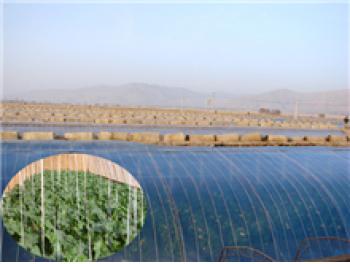 五層共擠EVA高保溫日光膜