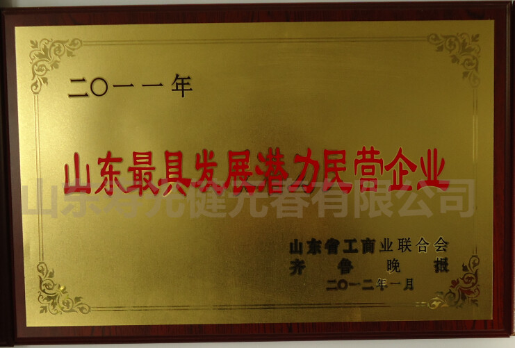 2012年當(dāng)選為山東最具發(fā)展?jié)摿γ駹I(yíng)企業(yè)
