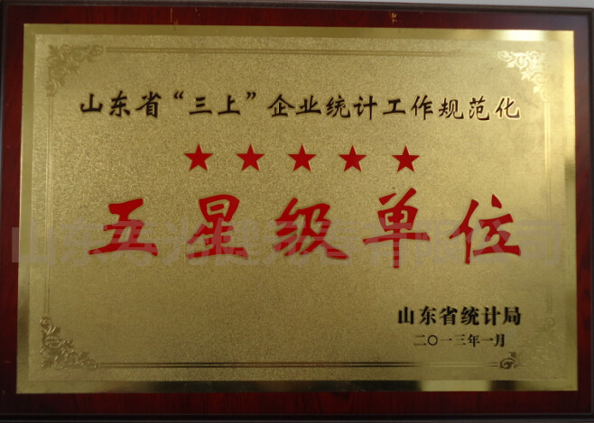 2013年被評(píng)為山東省企業(yè)統(tǒng)計(jì)工作規(guī)范化五星級(jí)單位