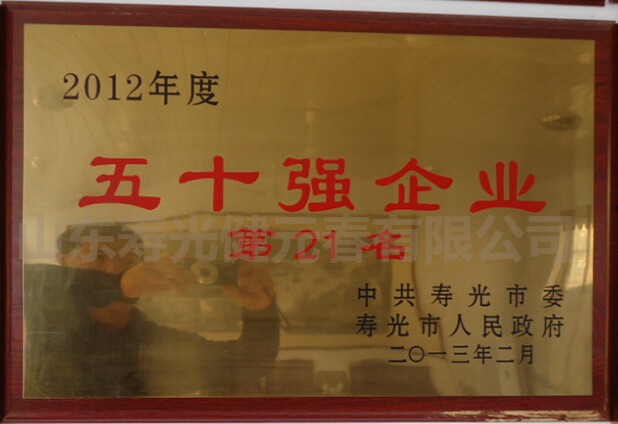 2013年被評(píng)為五十強(qiáng)企業(yè)第二十一名