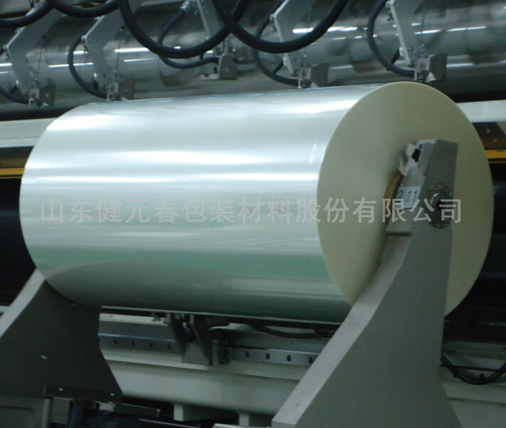 （BOPET）轉(zhuǎn)移膜系列