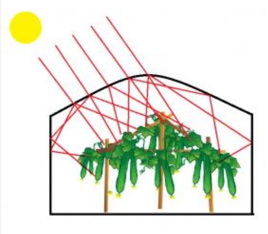 五層共擠散光膜